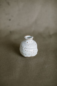 Snowy Desert Bud Vase
