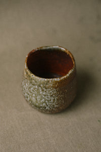 Japanese Ash Tumbler