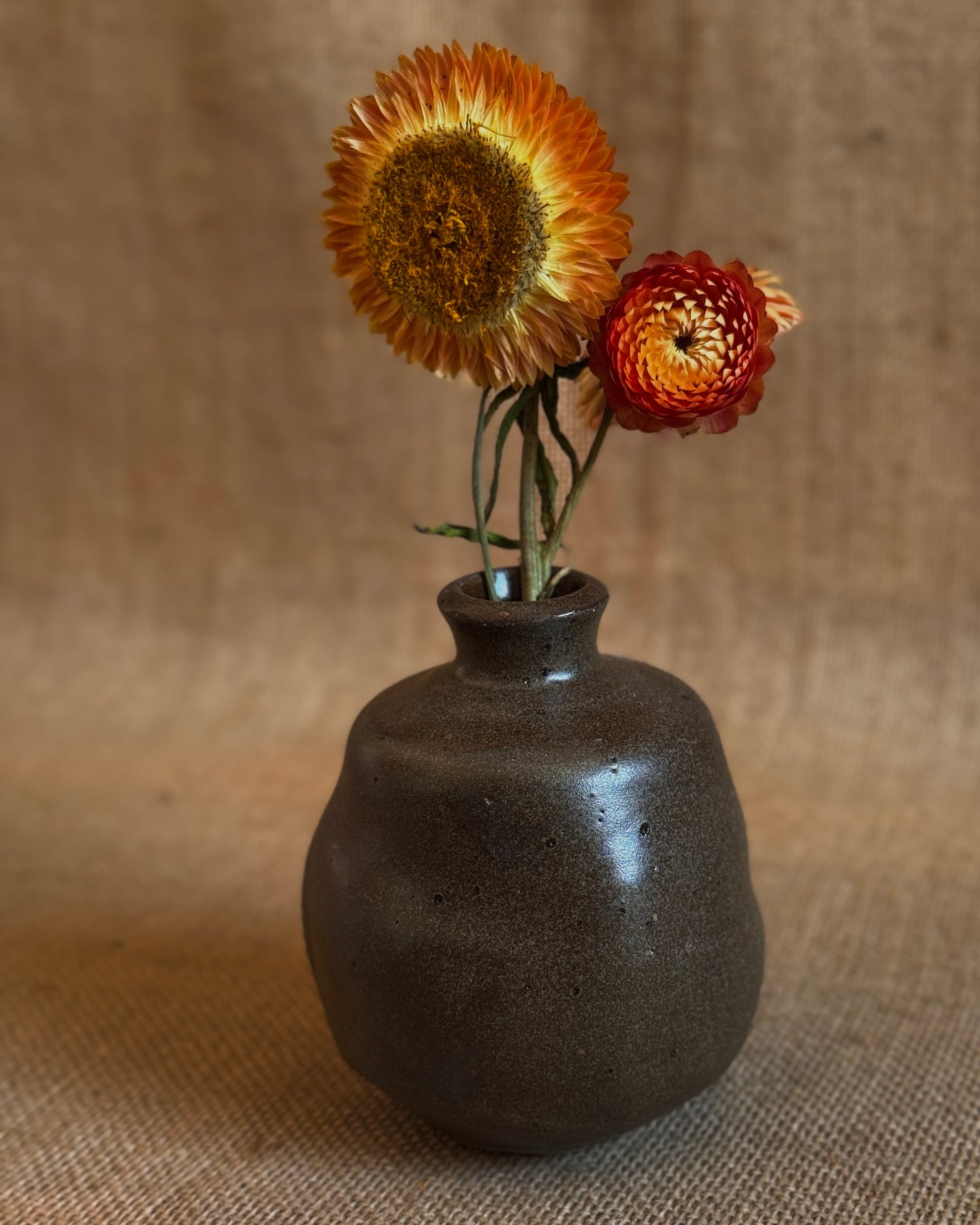 Small dark brown ceramic bud vase with dried straw flowers on a textured beige background