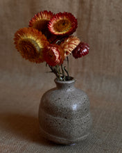 Load image into Gallery viewer, Bud Vase - Morel