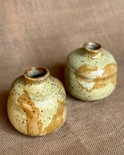 Load image into Gallery viewer, Bud Vase - Lichen