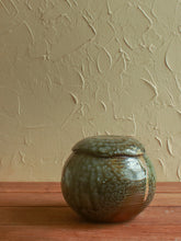 Load image into Gallery viewer, Jar - Woodfired with heavy sally wattle ash
